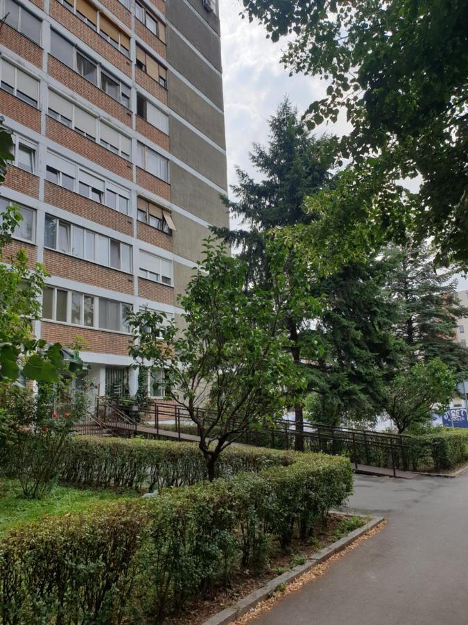 Exclusive Apartment ベオグラード エクステリア 写真